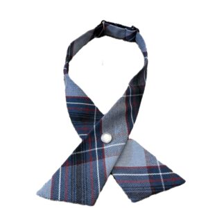 Criss Cross Manhattan Plaid tie