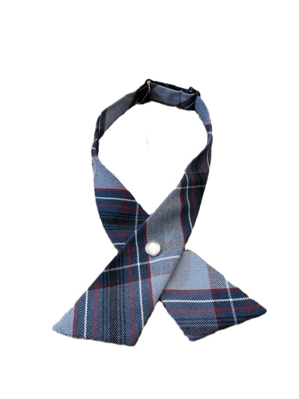 Criss Cross Manhattan Plaid tie